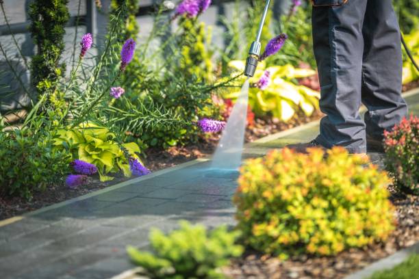 Best Dumpster Area Cleaning  in Three Lakes, FL