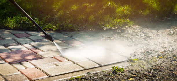 Best Animal Enclosure Cleaning  in Three Lakes, FL